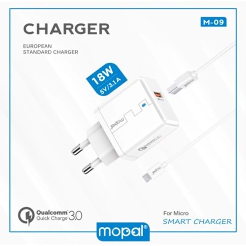 M10 18W QUALCOMM3 TYPE-CQUİCK